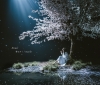 Aimer / դϤ椯 / marie [CD+DVD] []