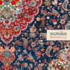 sumika / Harmonize e.p [CD+DVD] [限定]