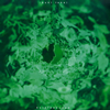 ibuki takai/kaleidoscope [CD] [紙ジャケット仕様]