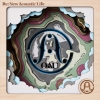OAU / Re:New Acoustic Life [楸㥱åȻ]
