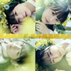 STU48 / ȤǸ뤯餤ʤ(TYPE B) [CD+DVD] []