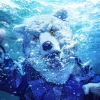 MAN WITH A MISSION / INTO THE DEEP [CD+DVD] []