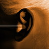 ϥ򿶤ʤ / ݤʿ [2CD+DVD] []