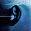 ϥ򿶤ʤ / ݤʿ [2CD]