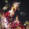 ulma sound junction/Reignition [CD]