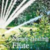 武田和大 - Nature Healing Flute カフェで静かに聴くフルートと自然音 [CD]