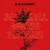 BLVCKBERRY / NATURAL BORN ERRORS