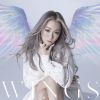 ̤ / WINGS [Blu-ray+CD]