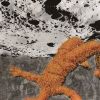 pavilion - Moonsault [CD]