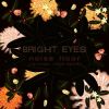 BRIGHT EYES / NOISE FLOOR (RARITIES: 1998-2005)