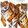 アナ・フランゴ・エレトリコ/ミ・シャマ・ヂ・ガト・キ・エウ・ソウ・スア [CD]
