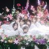ME / ե塼 [CD+DVD]