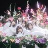ME / ե塼 [CD+DVD]
