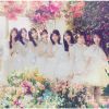 AKB48 / 饳󥦥 [Blu-ray+CD] []