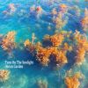 Turn On The Sunlight - Ocean Garden [CD]