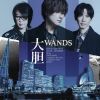 WANDS -  [CD]