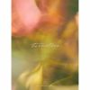 timelesz / timelesz(Limited Edition) [ǥѥå] [CD+DVD] []