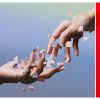 Salyu 20th Anniversary Tribute Album grafting [楸㥱åȻ] [3CD] []