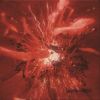 Ivy to Fraudulent Game / inside = RED [2CD] []