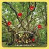 ܴɧ - ֥פ롼 İΥ֥ [CD]