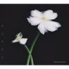 Omoinotake / ҤȤꤴ [Blu-ray+CD] []