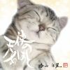  - ŷȤΤ [CD]