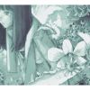 cephalo - Fluorite code [CD]