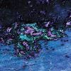 ۥΥޥʥϥ߳ - HONNOMAJIKANAHARU  KEIJI HAINO [CD]