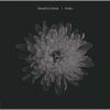 klesa - Beautiful klesa [CD]