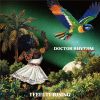 Doctor Rhythm - I Feel It Rising [CD]