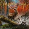 إ󡦥롦С - ϥޡ [2CD]