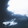 ˾ - ٤Ƹΰ٤ [CD]