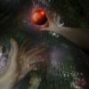 WANMINI - Untranslatable [CD]
