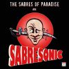 The Sabres Of Paradise / Sabresonic