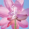  - ̿ - Harmonic Life [CD]