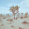 LUCA & There is a fox - Dancers [CD]