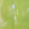  GT -  GT [CD]