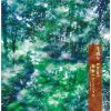 ߡΥ祦 -  = Kinari [CD]