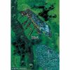  - 2245 [CD]
