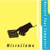 MicroLlama - Restart Your Computer! [CD]