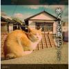 懐メロ名曲(下) ベスト [2CD]
