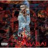 ディアブルボア - MAGAI [CD]