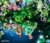 King & Prince / Waltz for Lily [CD+DVD] [限定]
