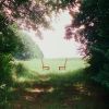 Ratboys - Singin' to an Empty Chair [CD] [限定]