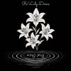 R - Lily Drive - First Drive [CD]