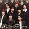 VOKSY DAYS - Bitter Flame [CD]