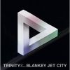 BLANKEY JET CITY - TRINITY from the shadows [2CD]