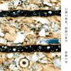 剥製の空 - 幻想の惑星，剥製の蒼天 [CD]