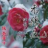 坂本幸子 - 未練花 - 津軽三味の音 女舞い [CD]