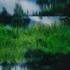 Oyubi - White birch burns [CD]